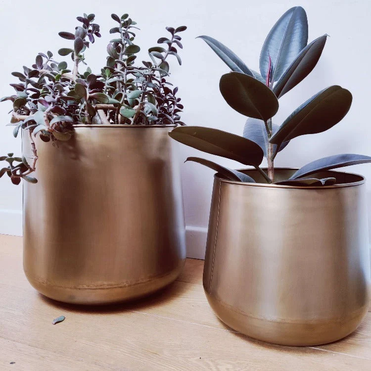 Large Brass Plant Pots - Image 4