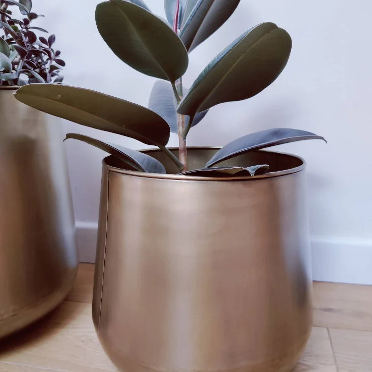 Large Brass Plant Pots - Image 5