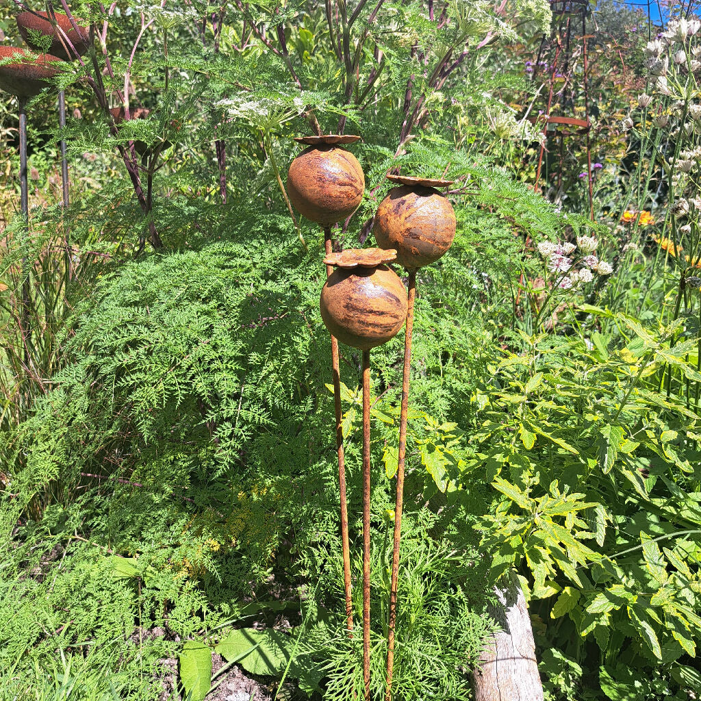 Large metal Poppy Seed Heads, Sculpture for the Garden. - Image 2