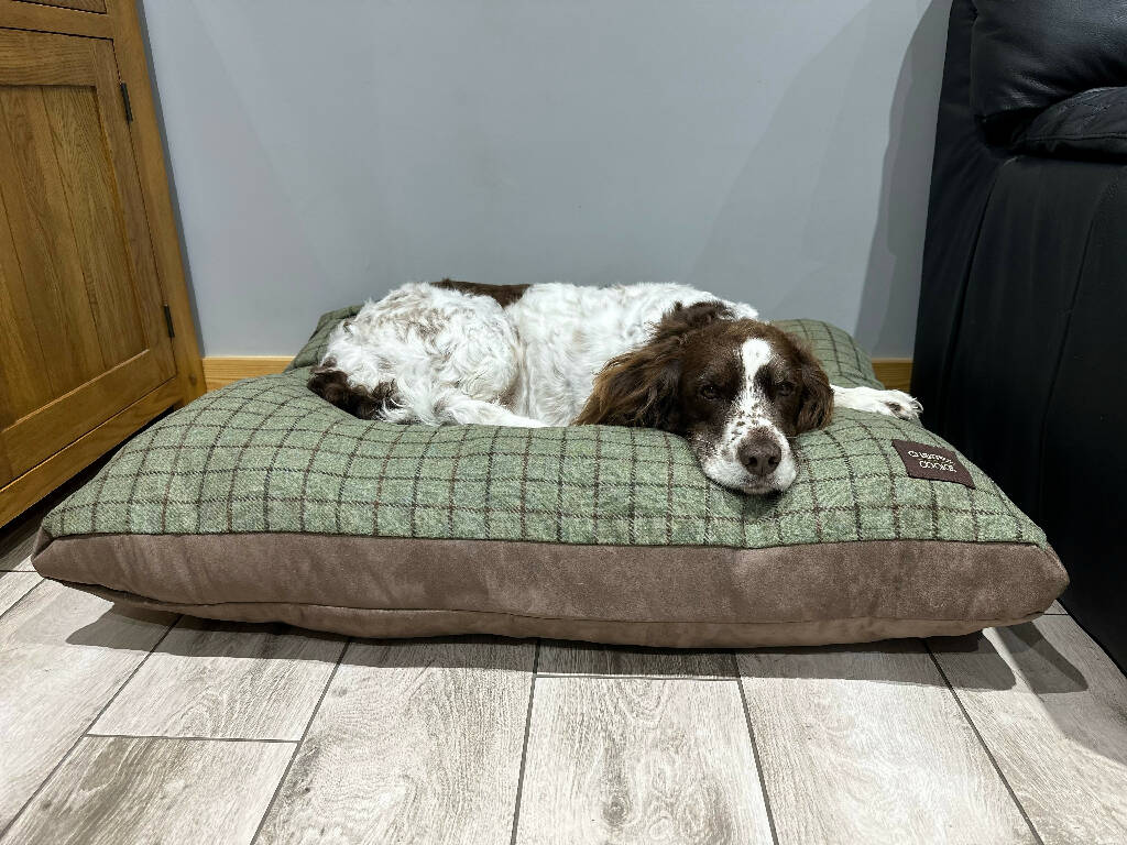 Large Tweed Dog Bed In Olive - Image 5