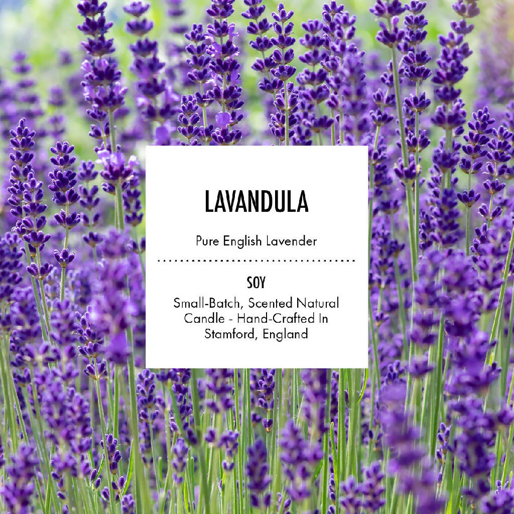 Lavandula - Scented Soy Candle - Image 3