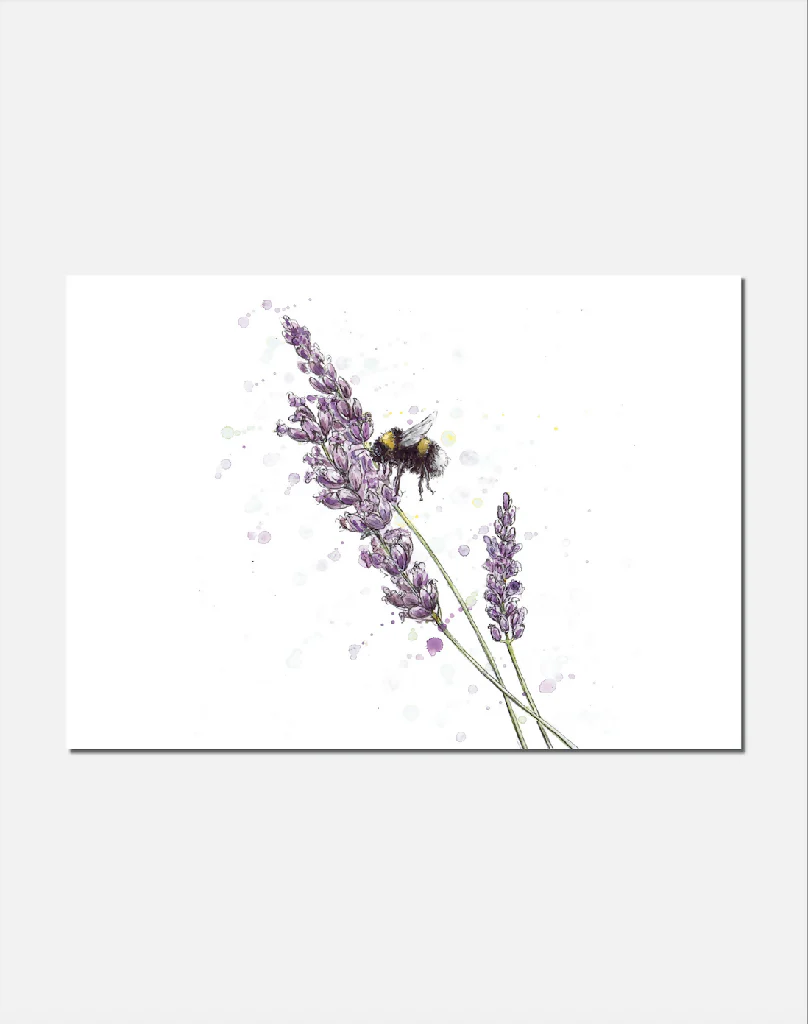 Lavender Haze | Signed Limited Edition Print