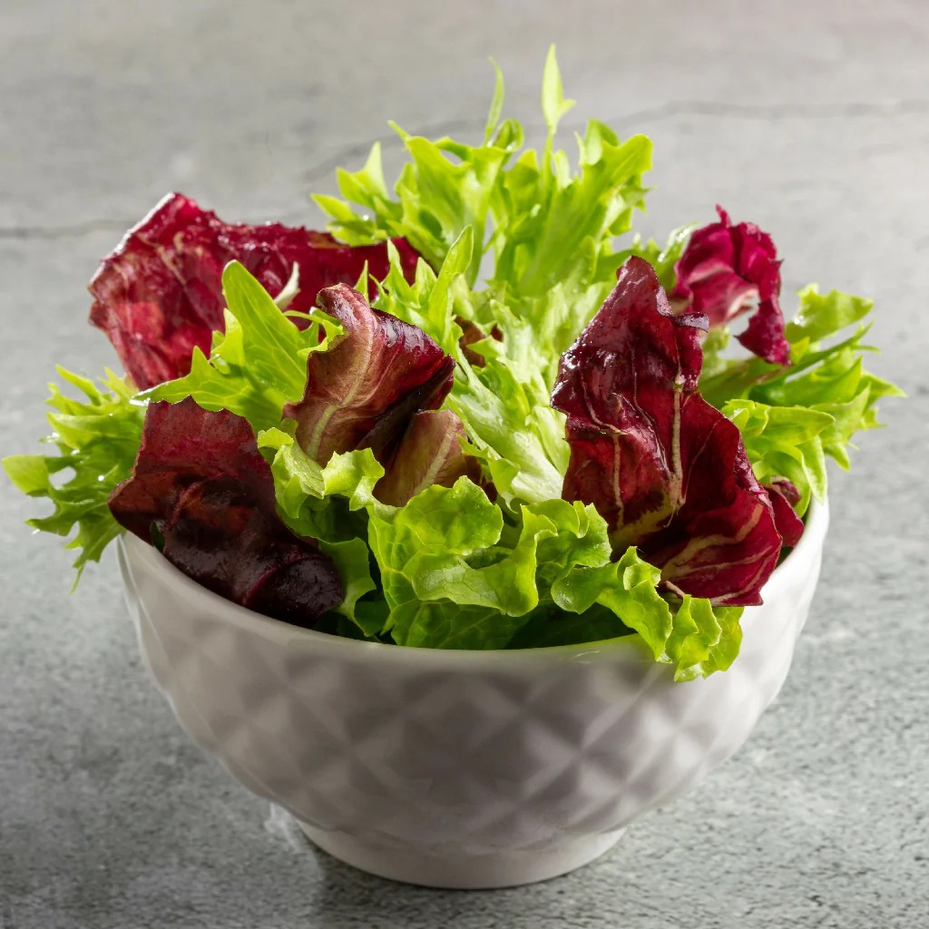 Lettuce Plants, 'Crisp Mix', 12 x Full Plant Pack - Image 2