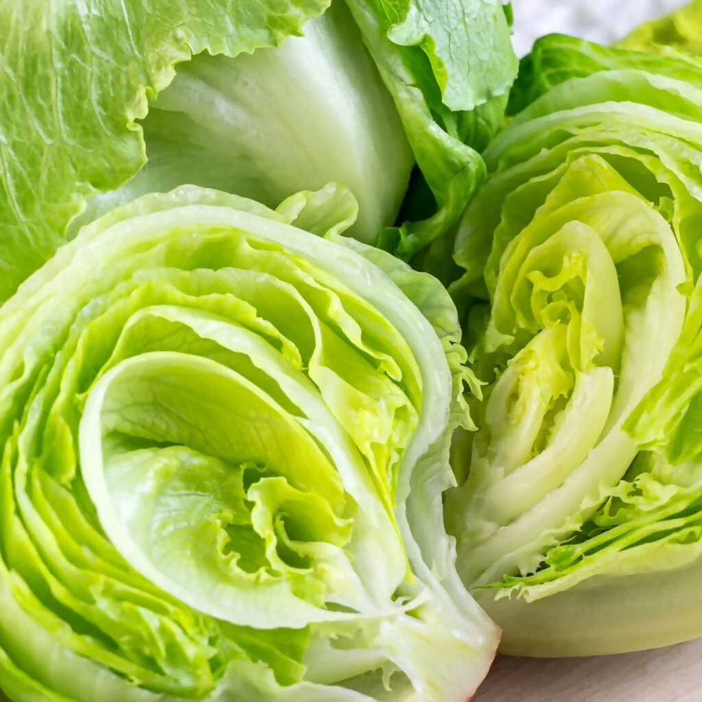 Lettuce Plants, 'Crisp Mix', 12 x Full Plant Pack - Image 4