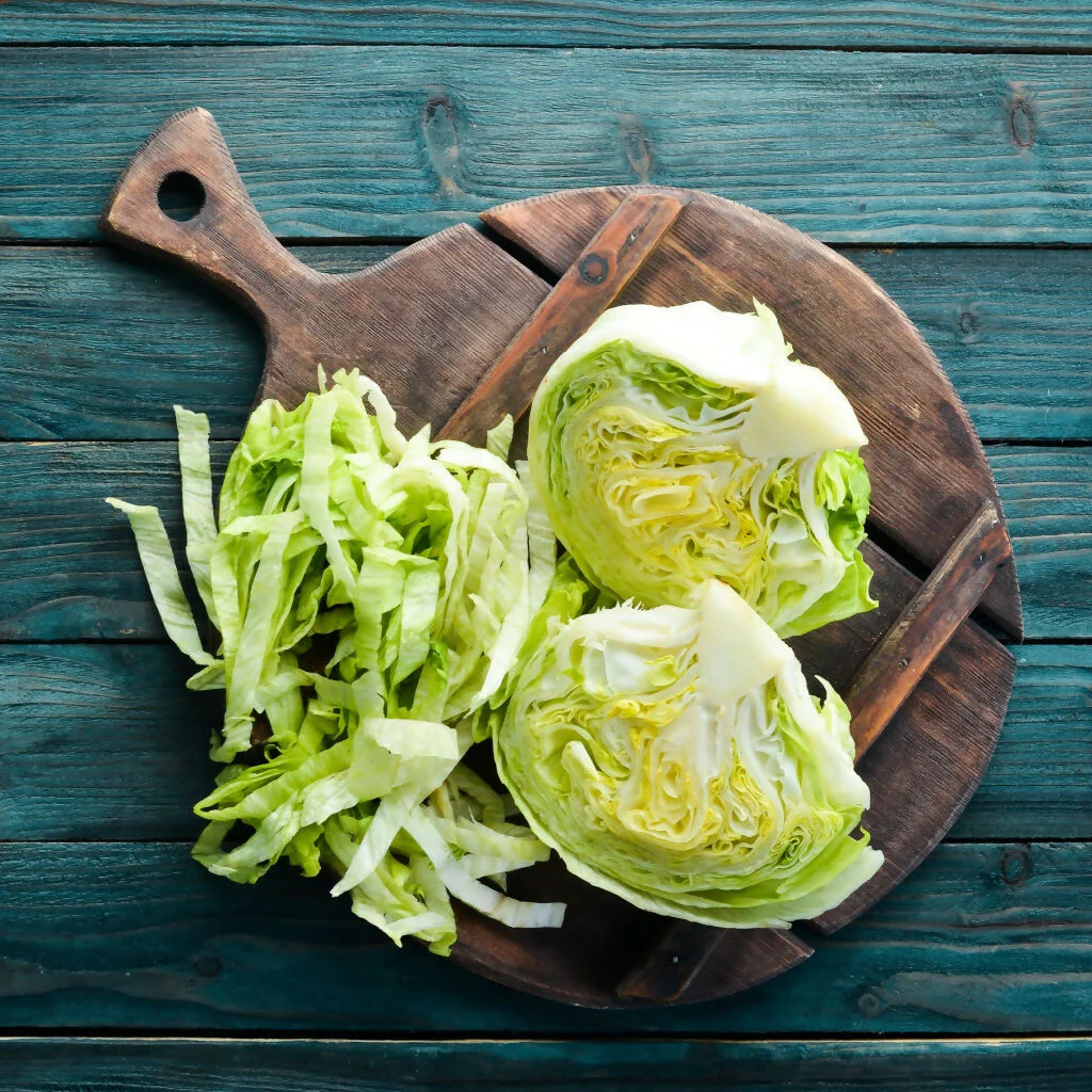 Lettuce Plants, 'Iceberg', 12 x Full Plant Pack