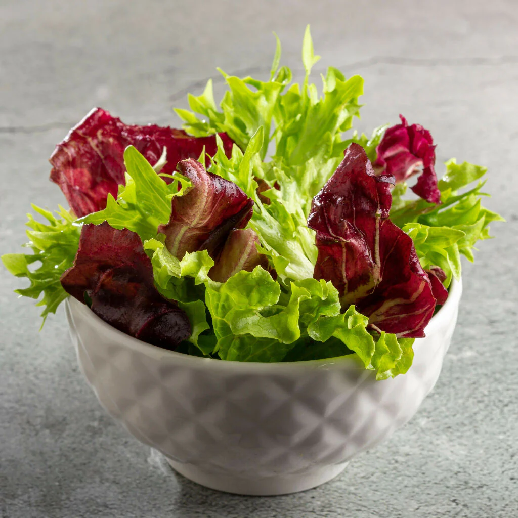 Lettuce Plants, 'Mixed Selection', 12 x Full Plant Pack - Image 4