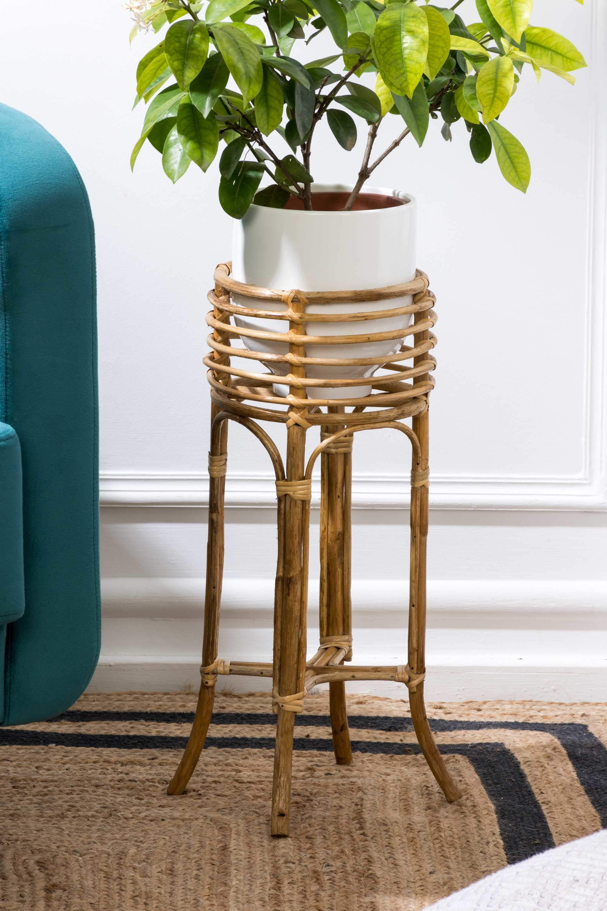 Lightweight Cane Plant Stand - Image 3