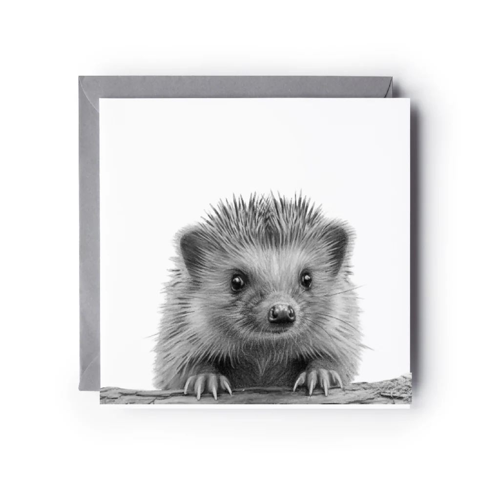 Little Hedgehog Hand Drawn Greeting Card – Cute Wildlife Illustration Countryside Animal Card - Image 2
