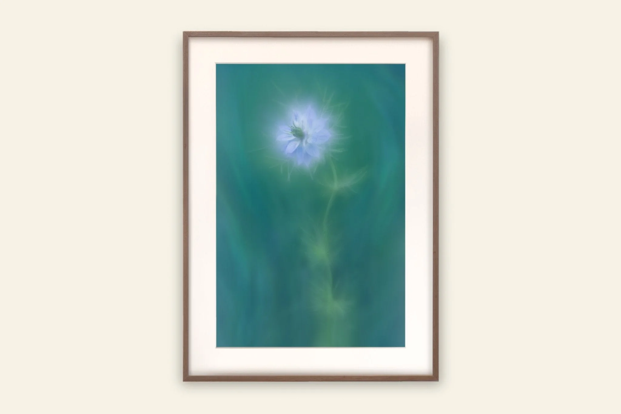 Flower Art Print for Home Interiors 'Love-In-A-Mist' - Image 2
