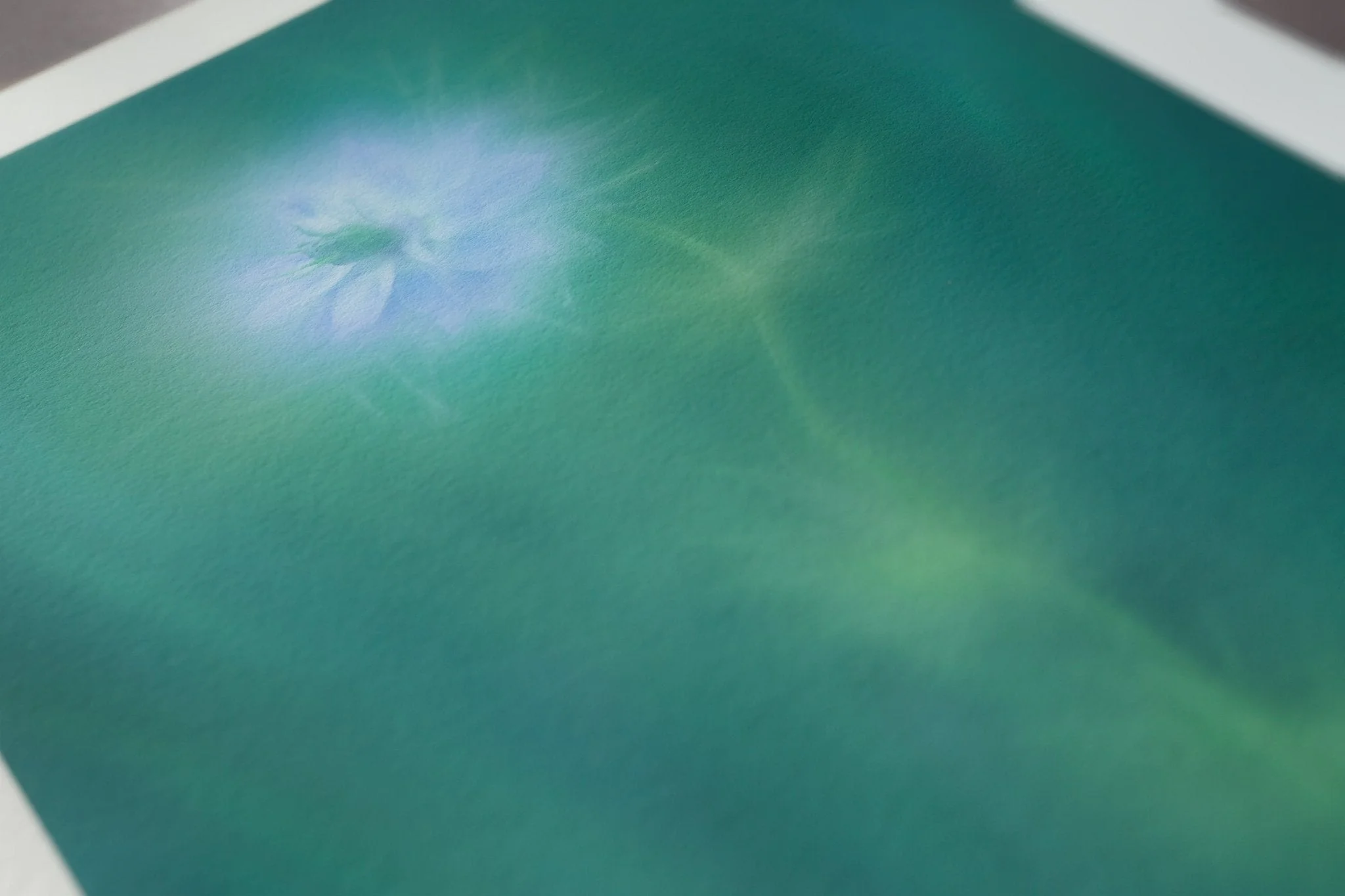 Flower Art Print for Home Interiors 'Love-In-A-Mist' - Image 3