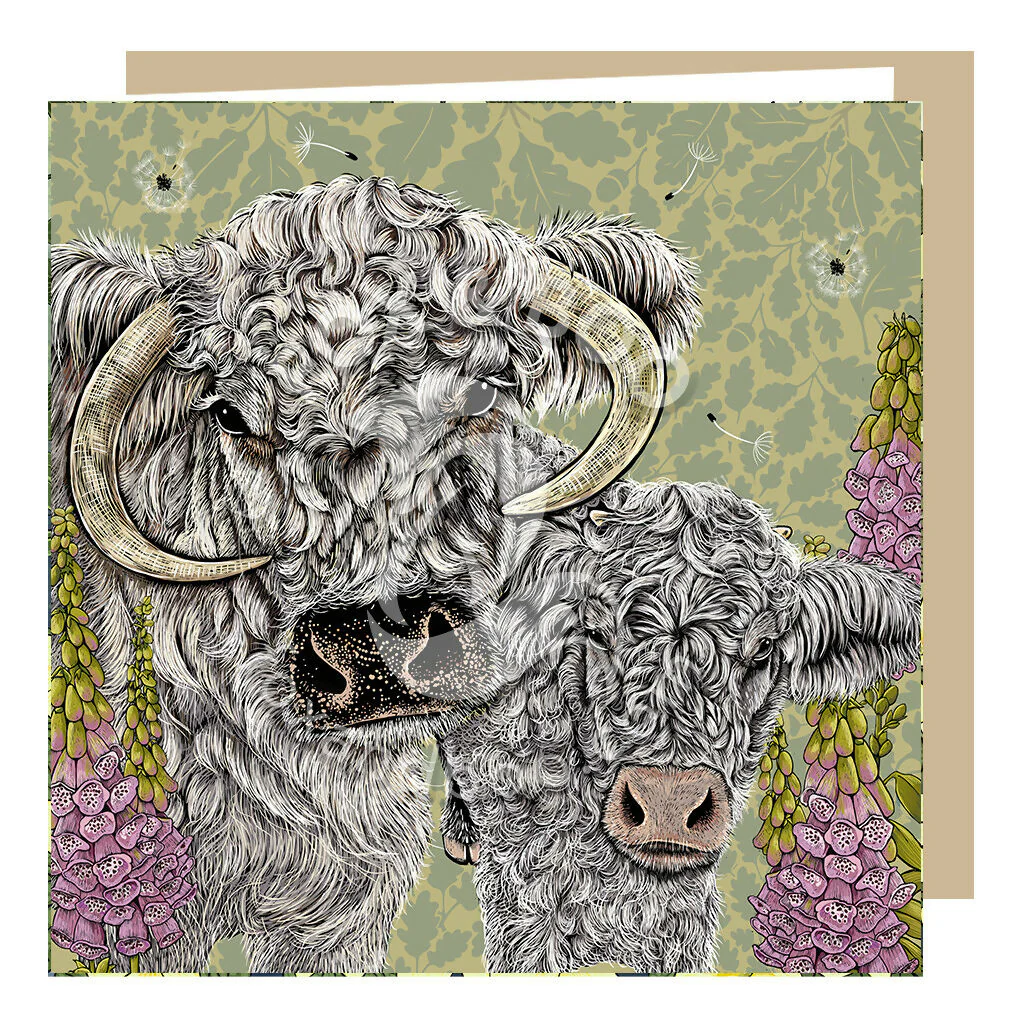 Lovely Longhorns Greeting Card