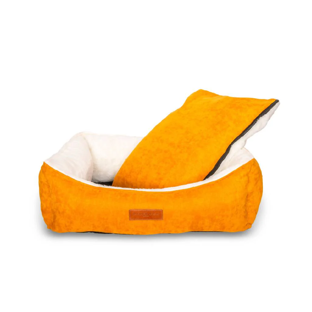 Luxury Velvet Dog Bed With Removable Covers | Sandringham - Image 5