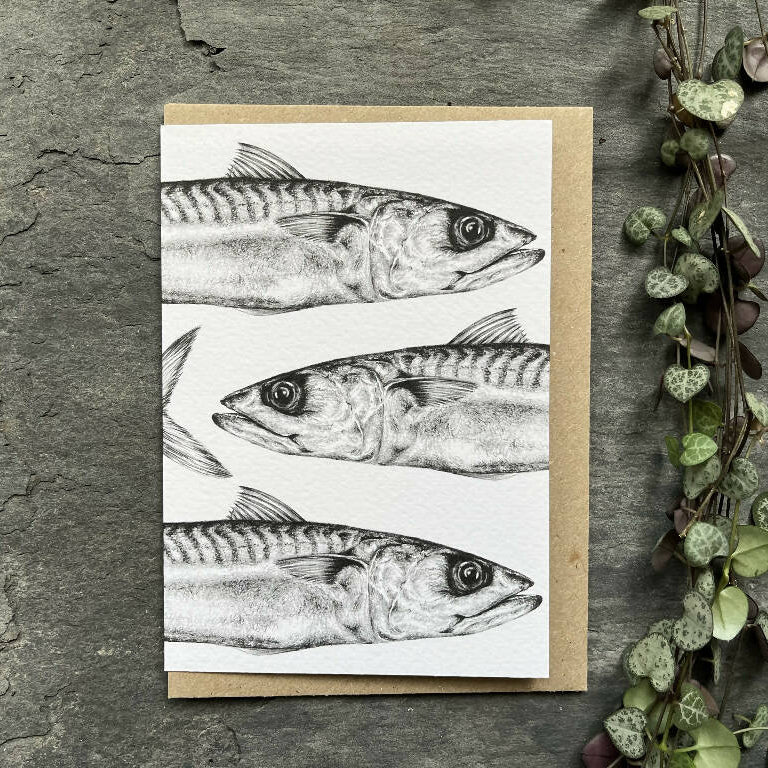 Mackerel Blank Greetings Card - Image 3