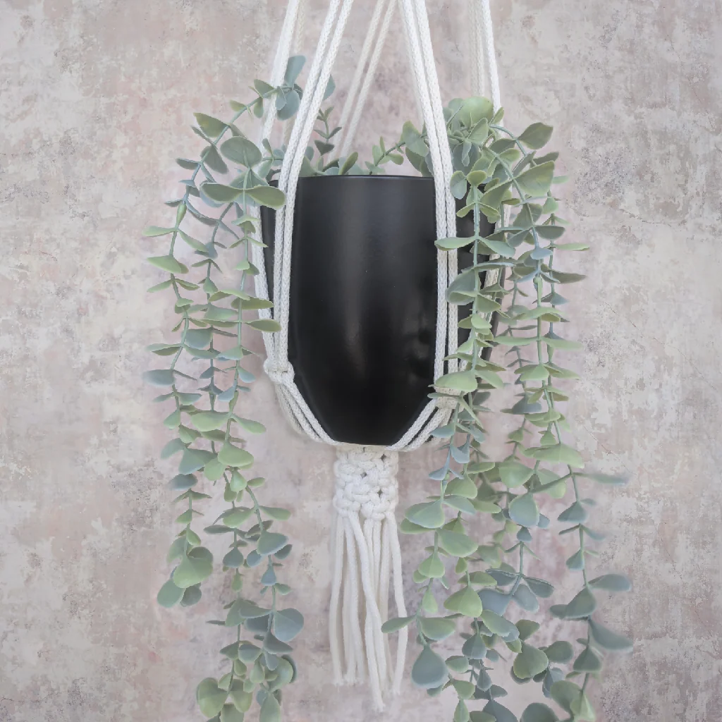 Macrame Plant Hanger - Fern