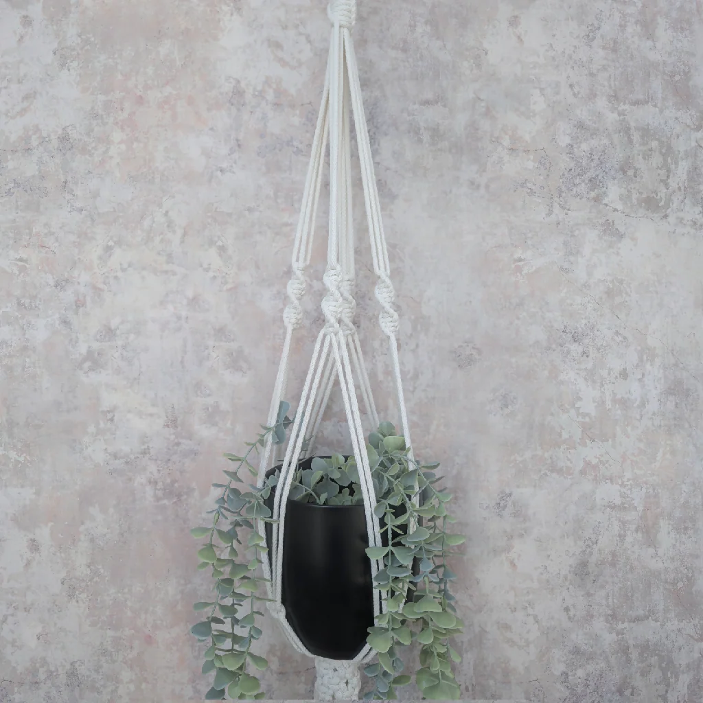 Macrame Plant Hanger - Fern - Image 2