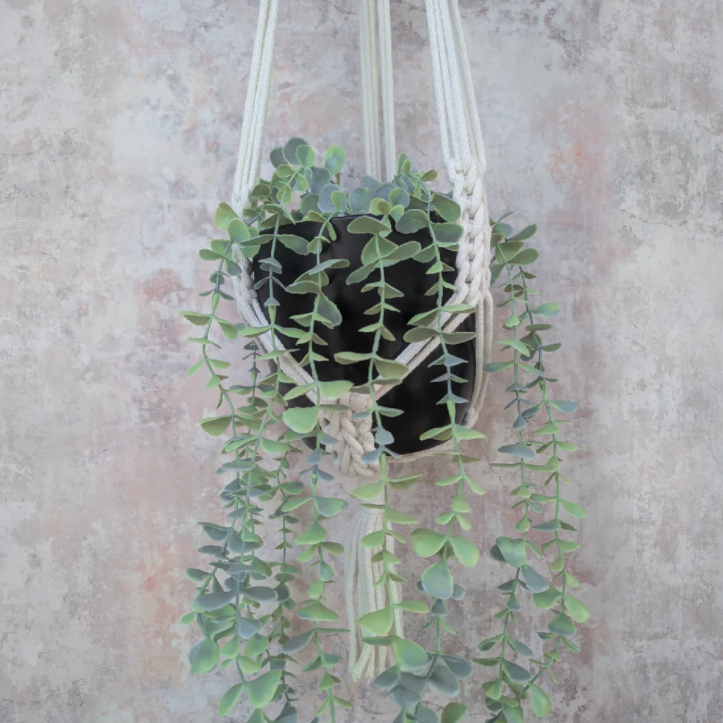 Macramé Plant Hanger - Ivy