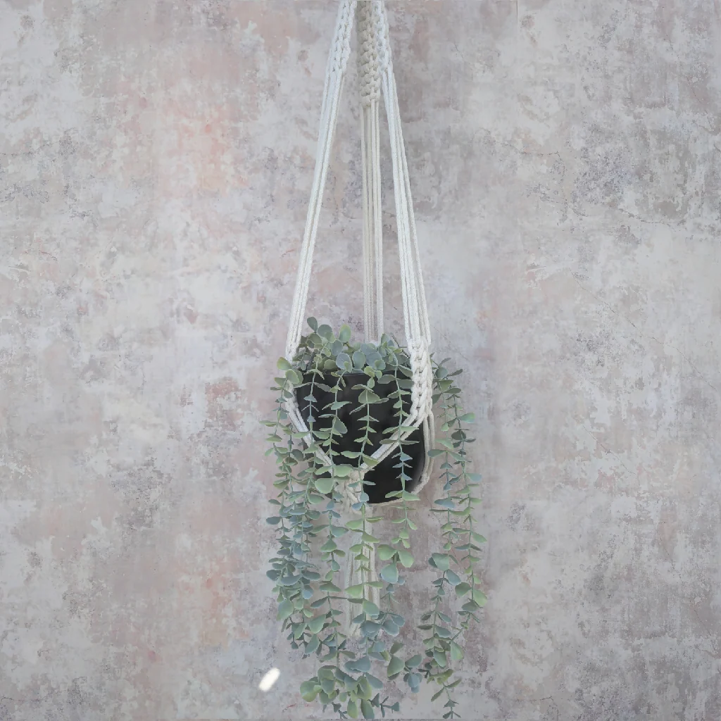 Macramé Plant Hanger - Ivy - Image 2