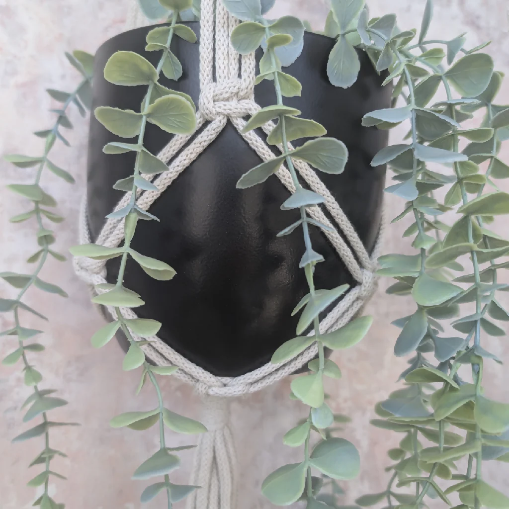 Macrame Plant Hanger Kit - Beginner - Image 3