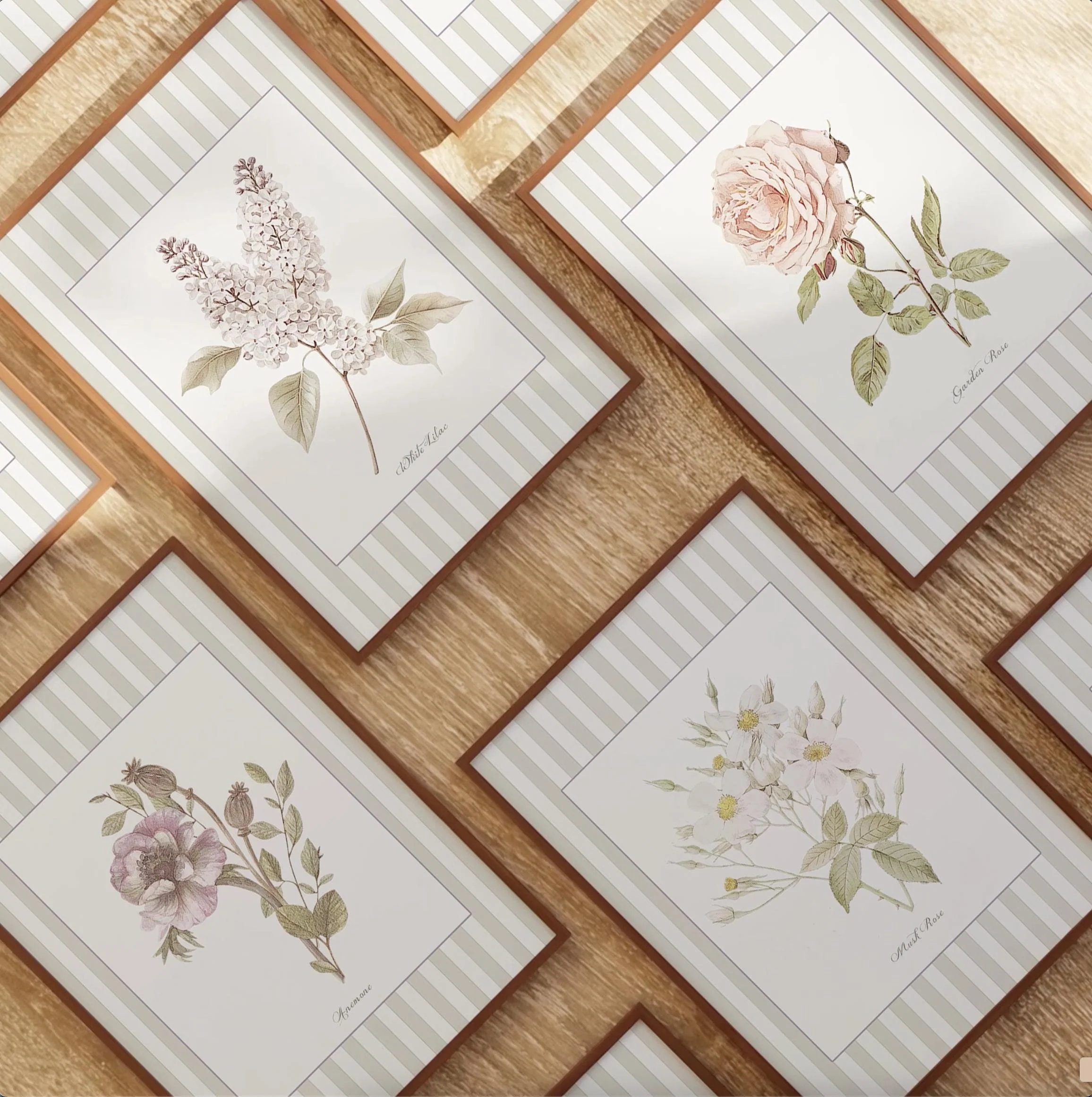 Marguerite Watercolor Illustration, Botanical Collection Print - Image 4