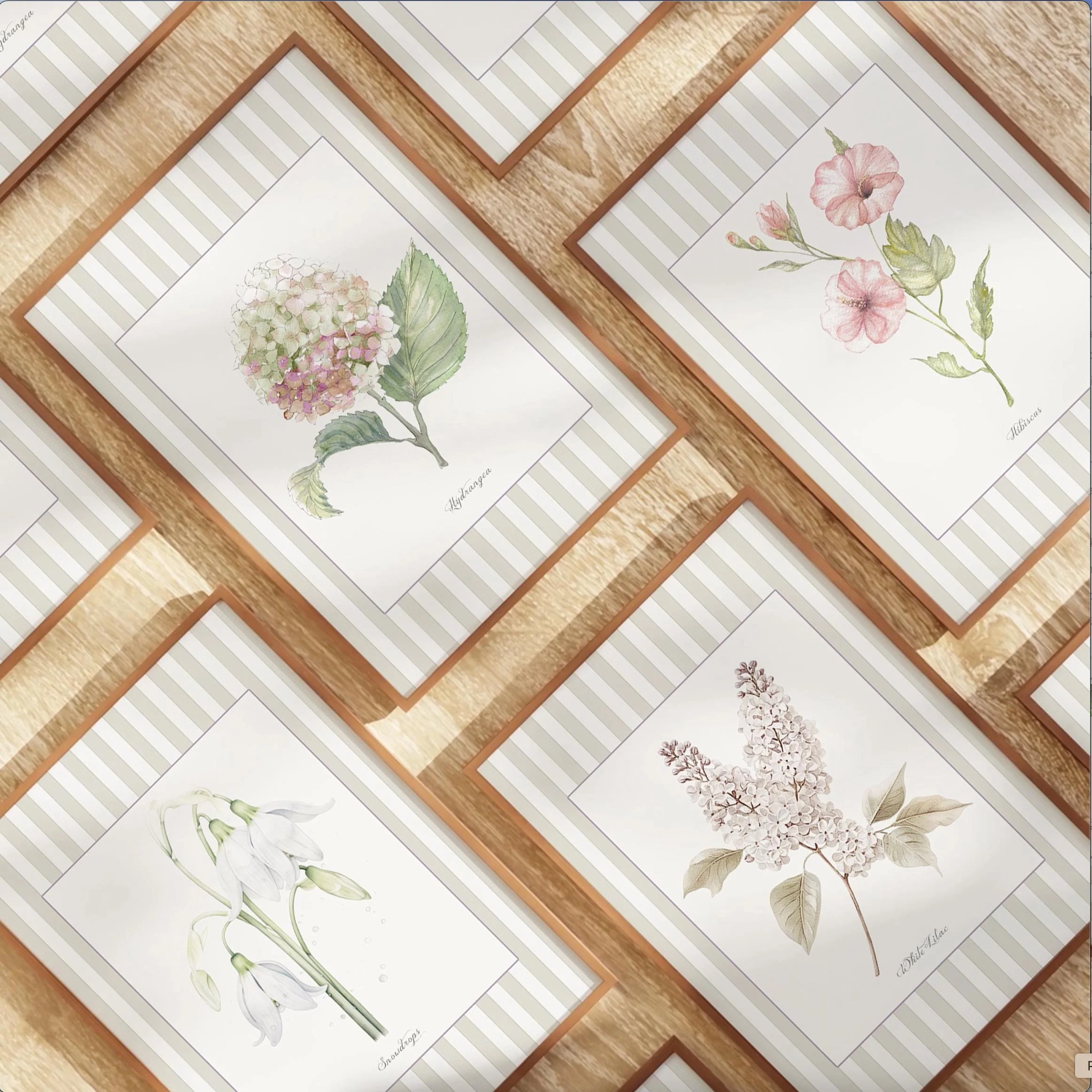 Marguerite Watercolor Illustration, Botanical Collection Print - Image 7