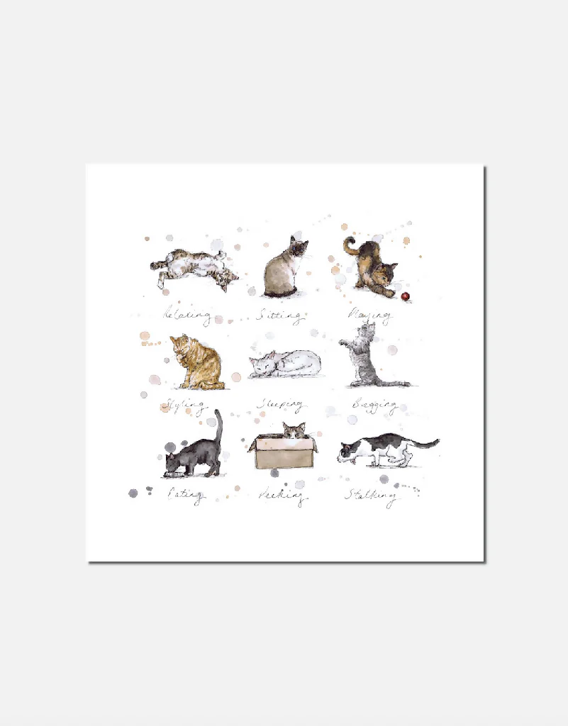 Meow | Signed Limited Edition Print