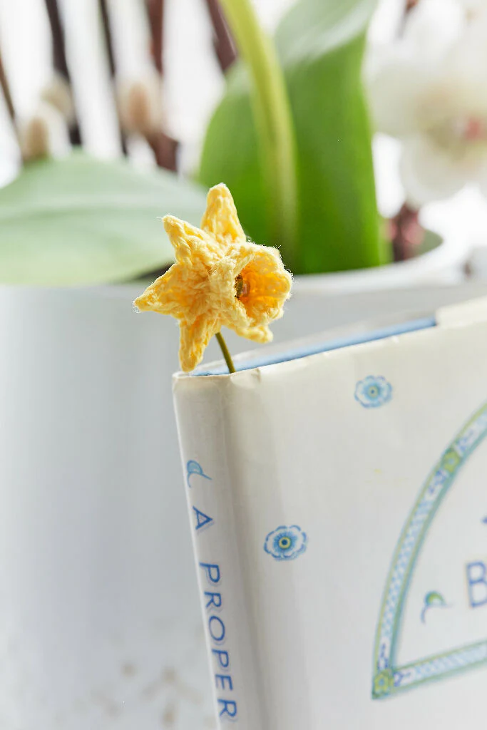A Bunch of Miniature Daffodils in Yellow - Image 8