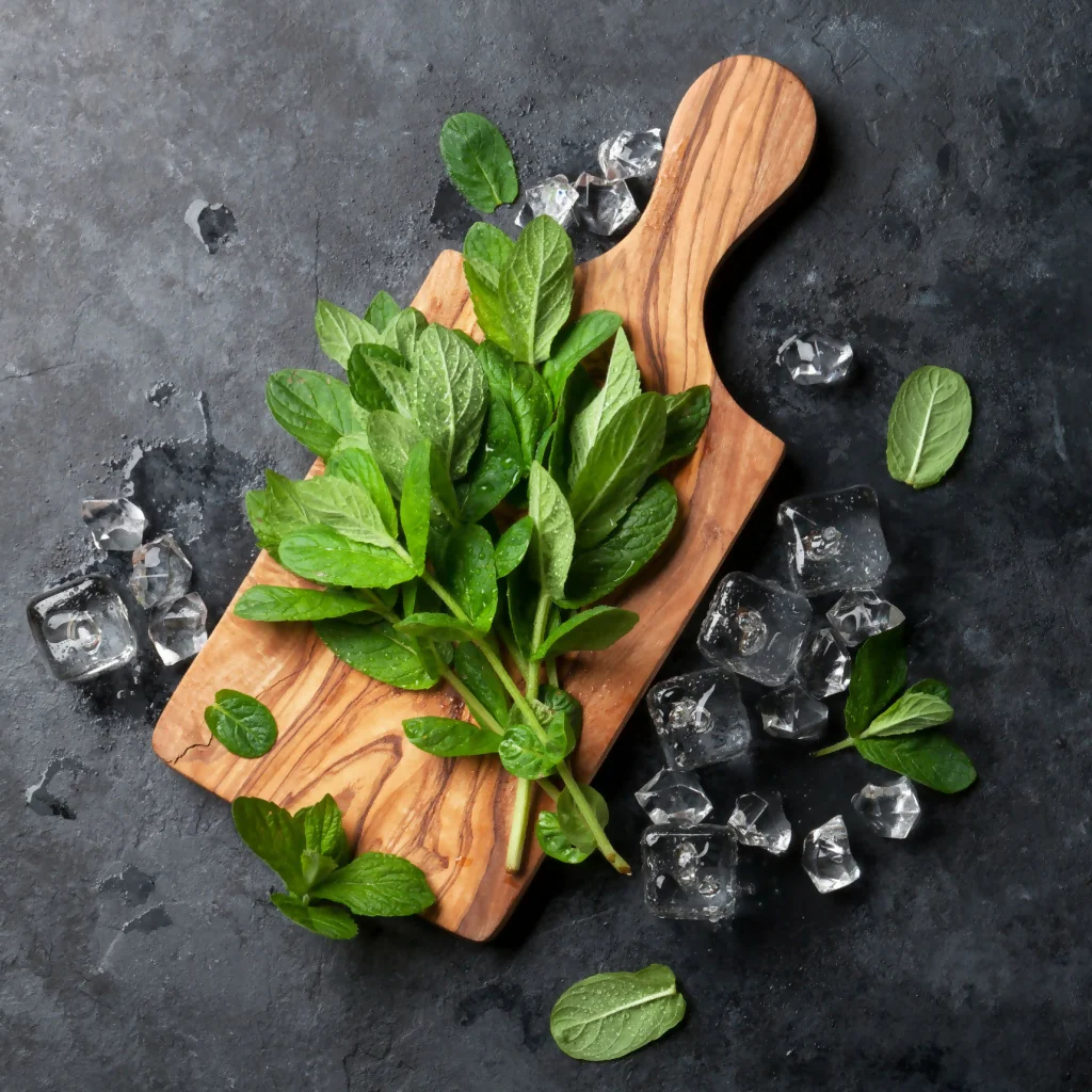 Mint Plants, Garden Mint, Full Plants in 9cm Pots - Image 2