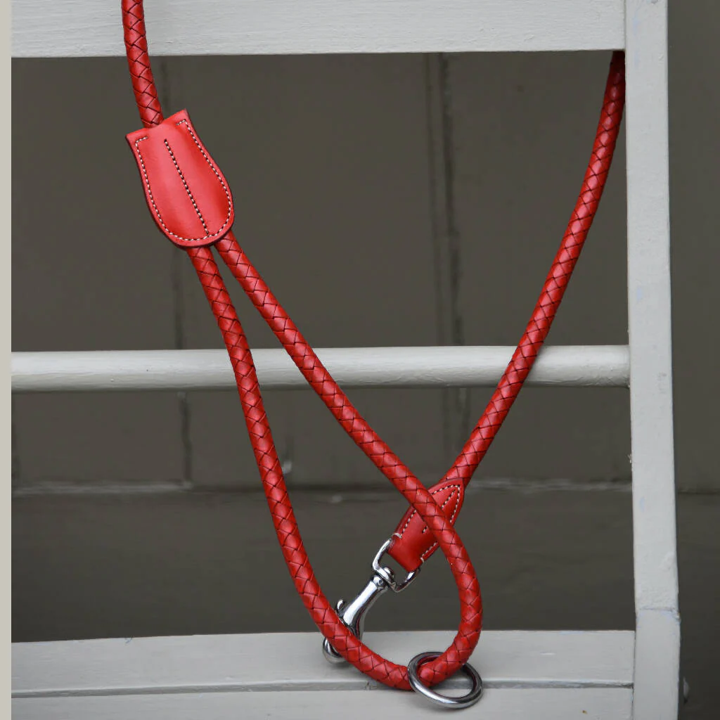Monreith Plaited Leather Lead - Image 3