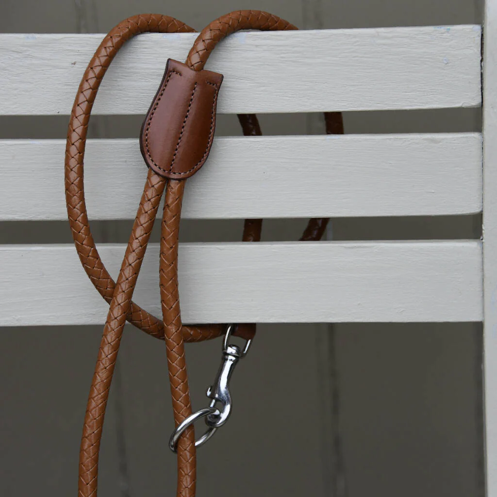 Monreith Plaited Leather Lead - Image 4