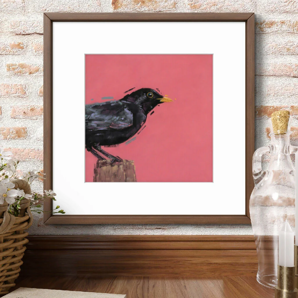 Morning Perch Blackbird Giclee Fine Art Print with Coral Pink Background