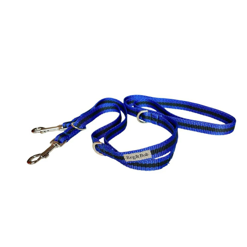 Multi-length Dog Lead In Blue And Black Stripe - 2 sizes - Image 2