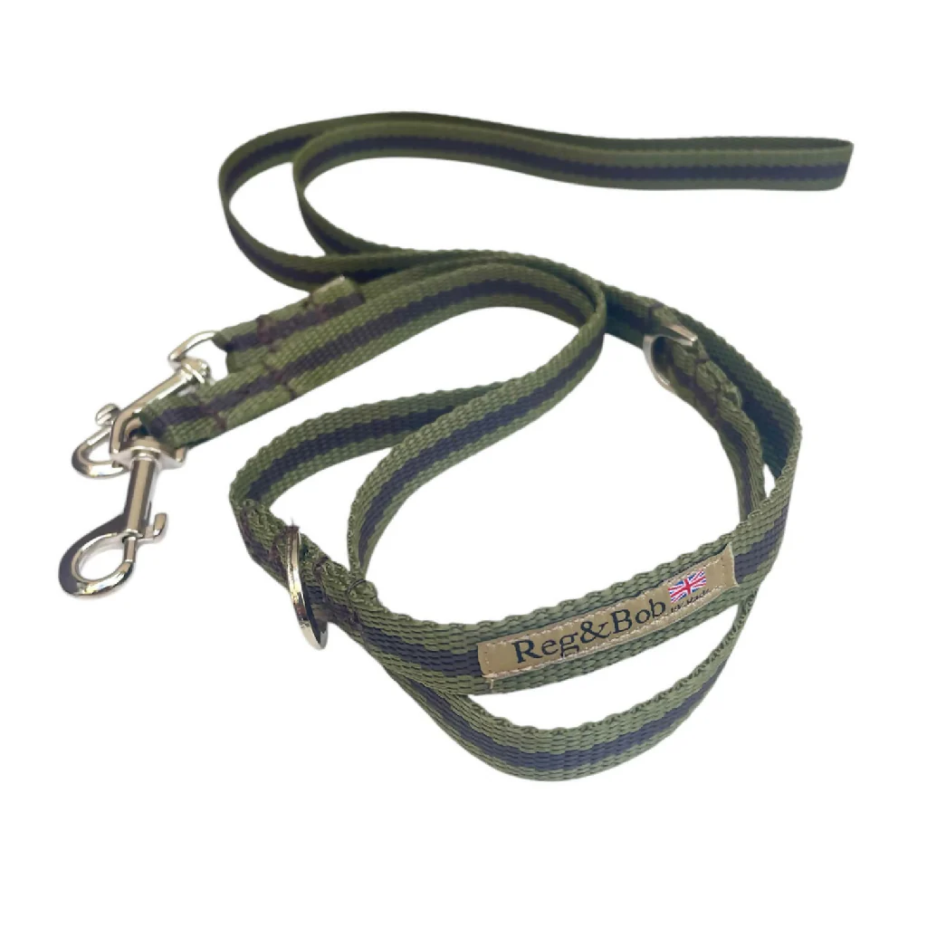 Multi-length Dog Lead In Khaki And Brown Stripe - 2 sizes - Image 2