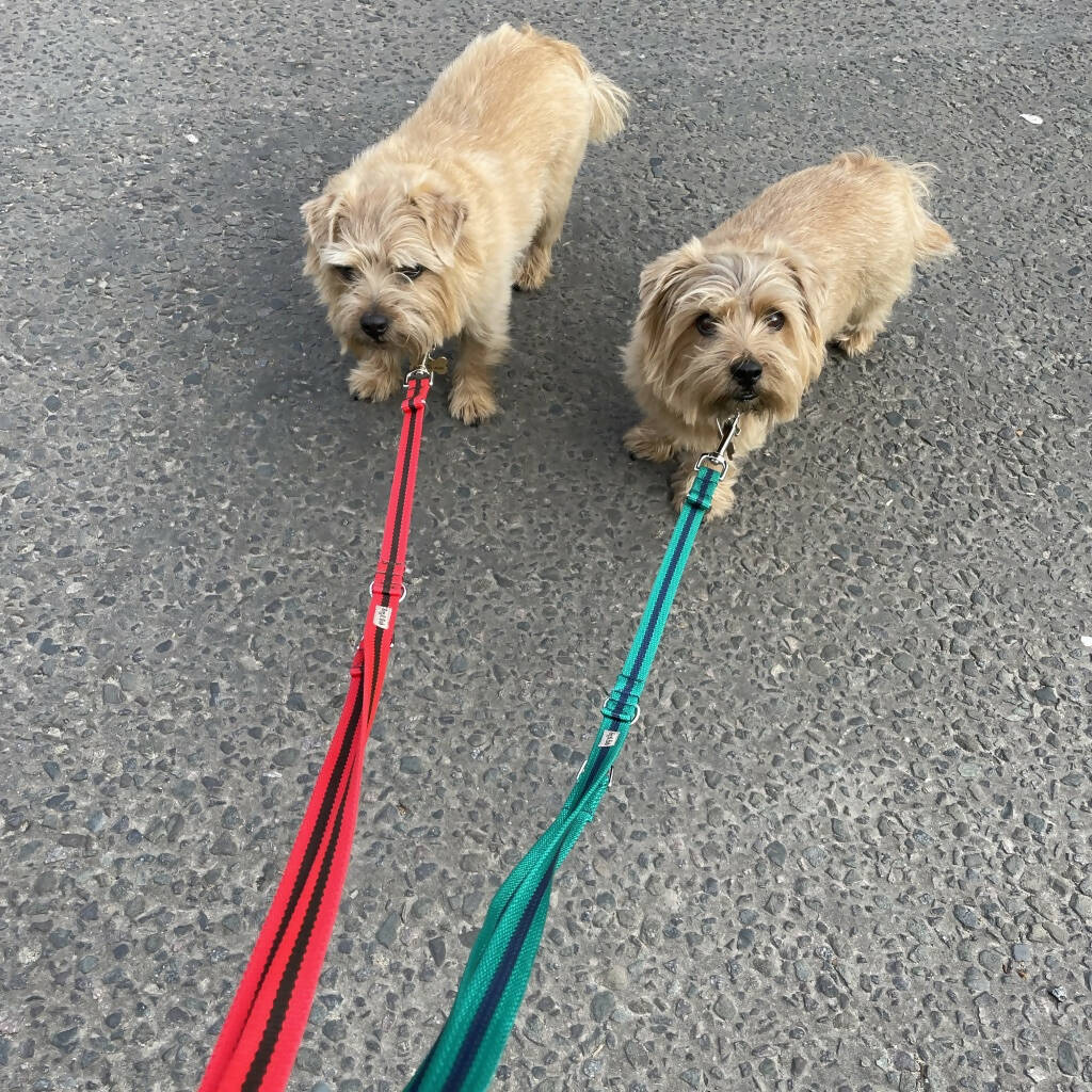 Multi-length Dog Lead In Red And Brown Stripe - 2 sizes - Image 5