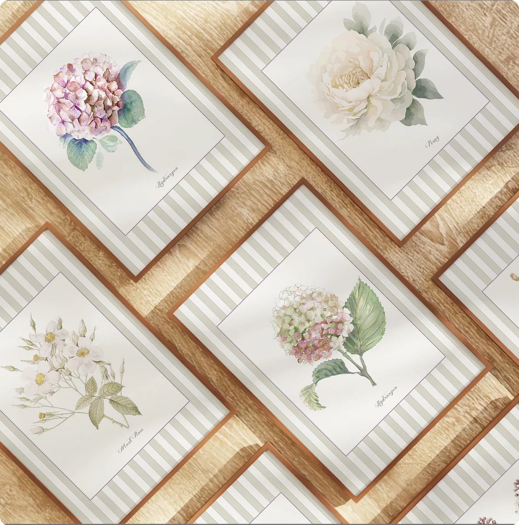 Musk Rose Botanical Print, La Rose Musquee Watercolor Illustration on Striped Background - Image 3