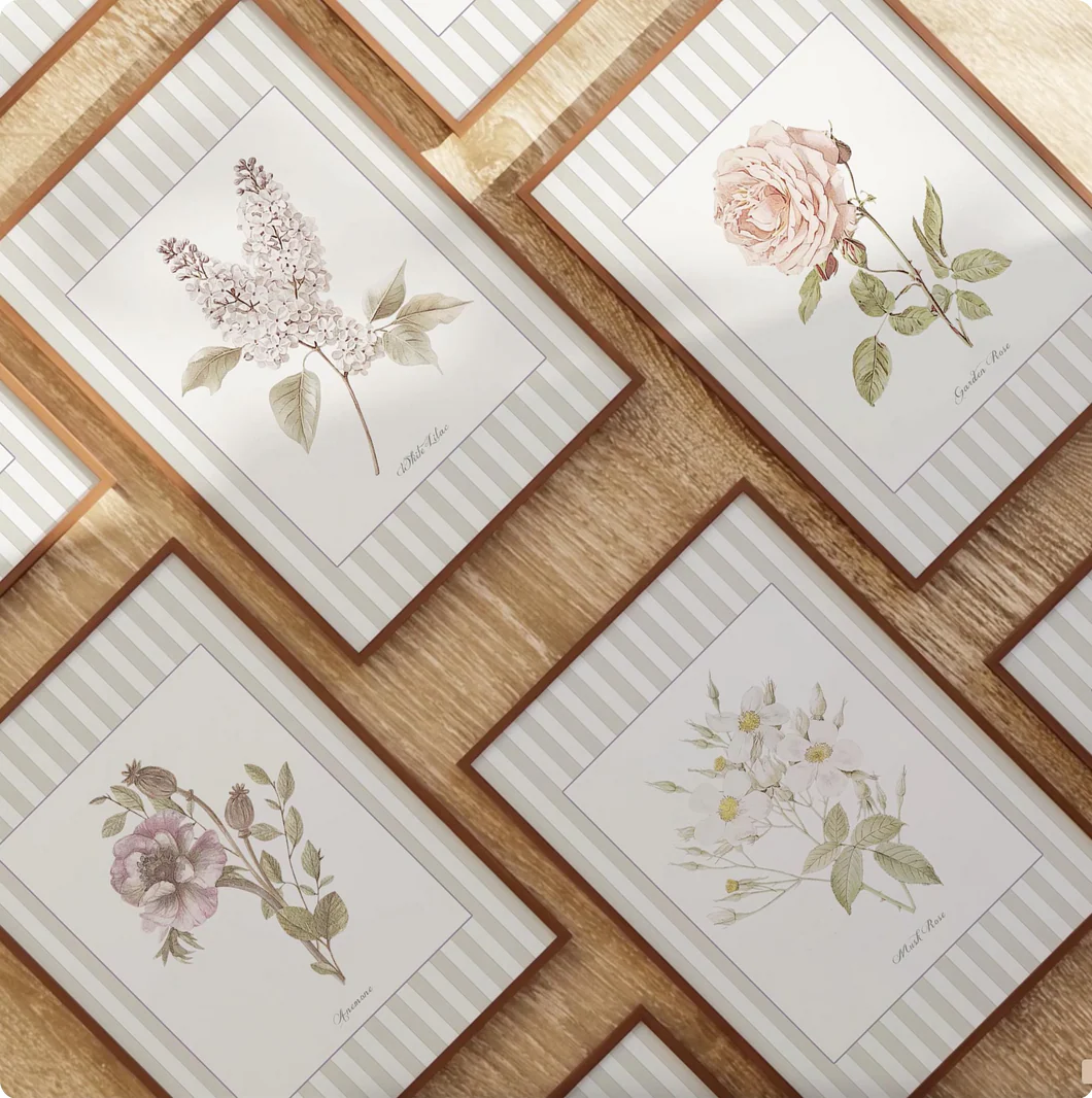 Musk Rose Botanical Print, La Rose Musquee Watercolor Illustration on Striped Background - Image 6