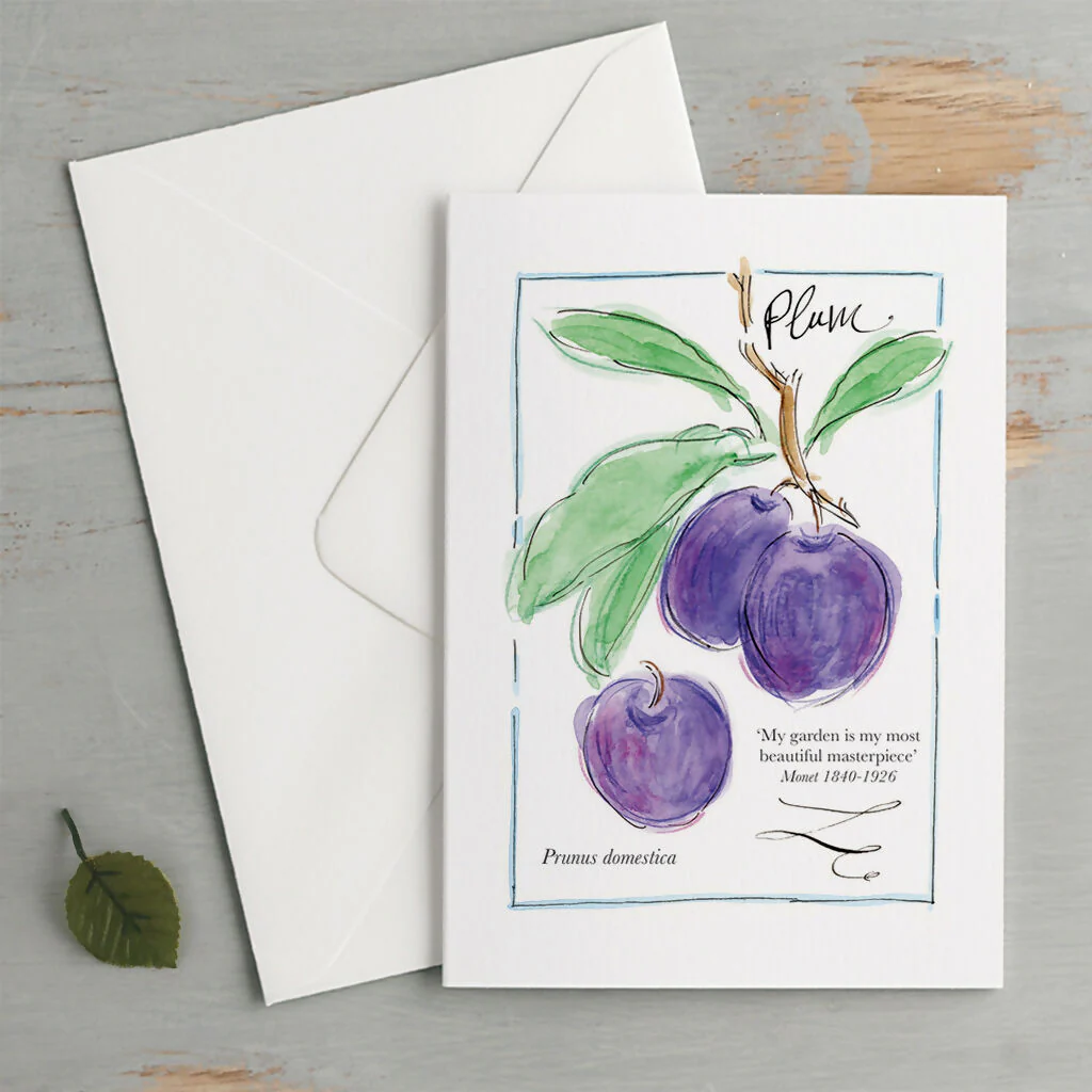 'My Allotment' Limited Edition Correspondence Set - Image 2