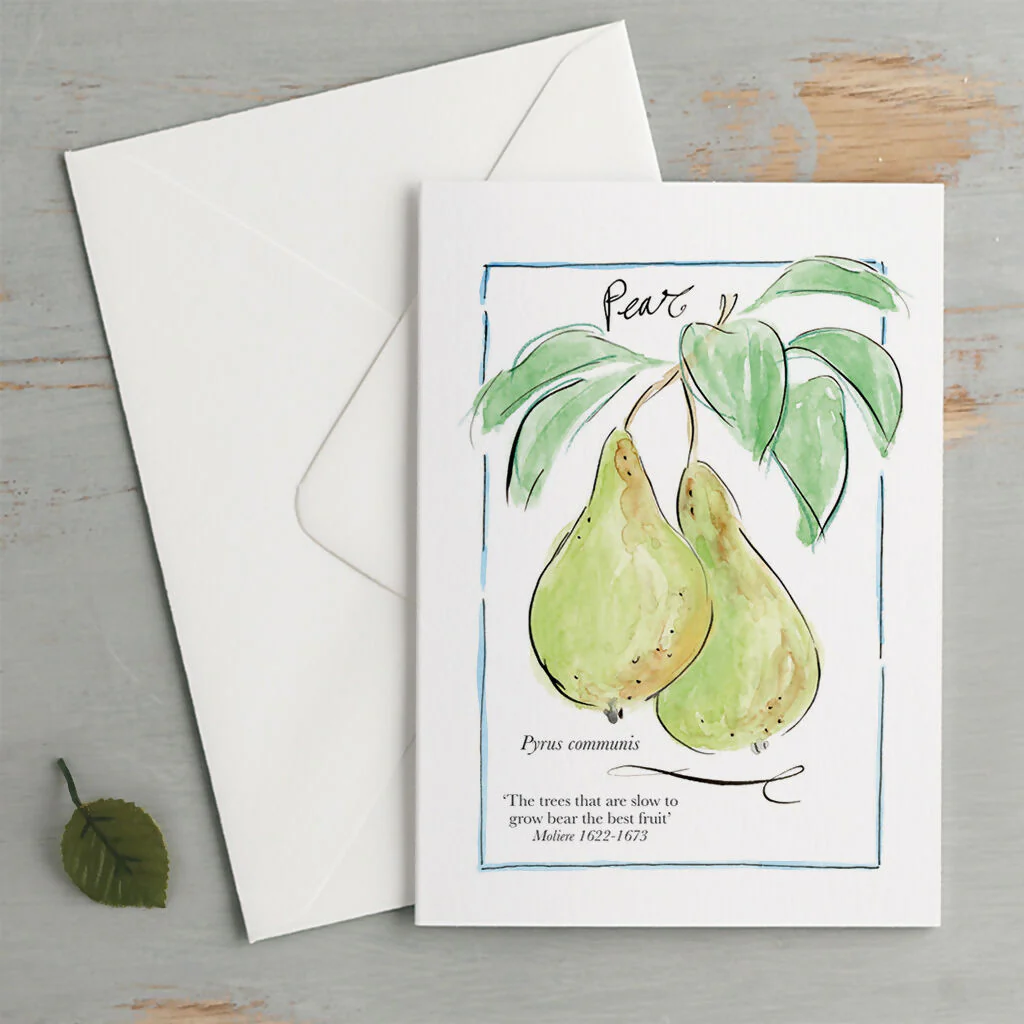 'My Allotment' Limited Edition Correspondence Set - Image 5
