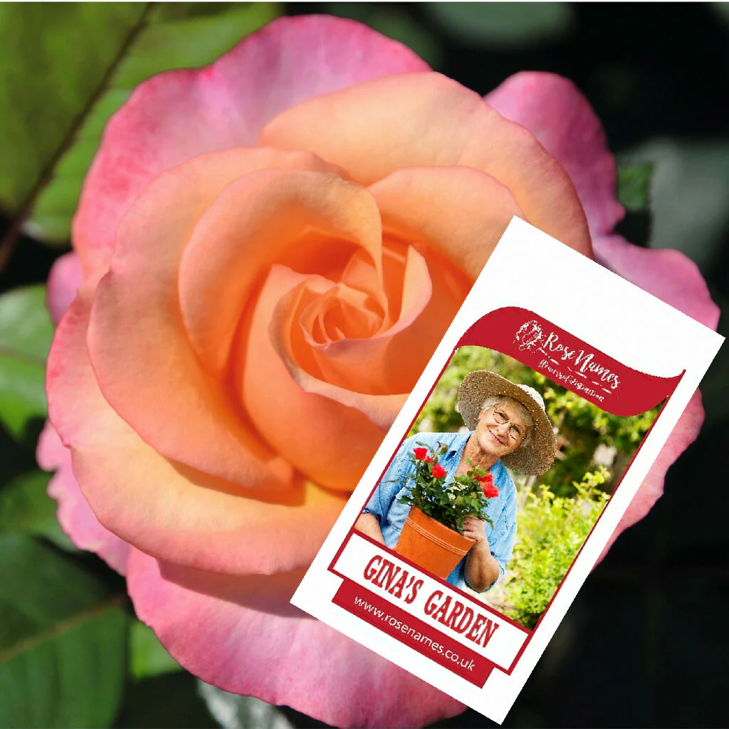 Name a Rose - Image 6