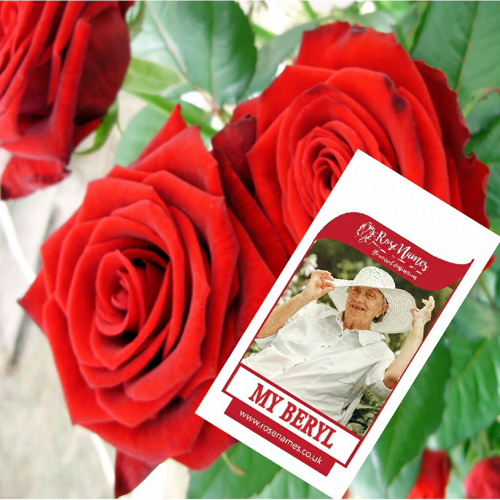 Name a Rose - Image 7