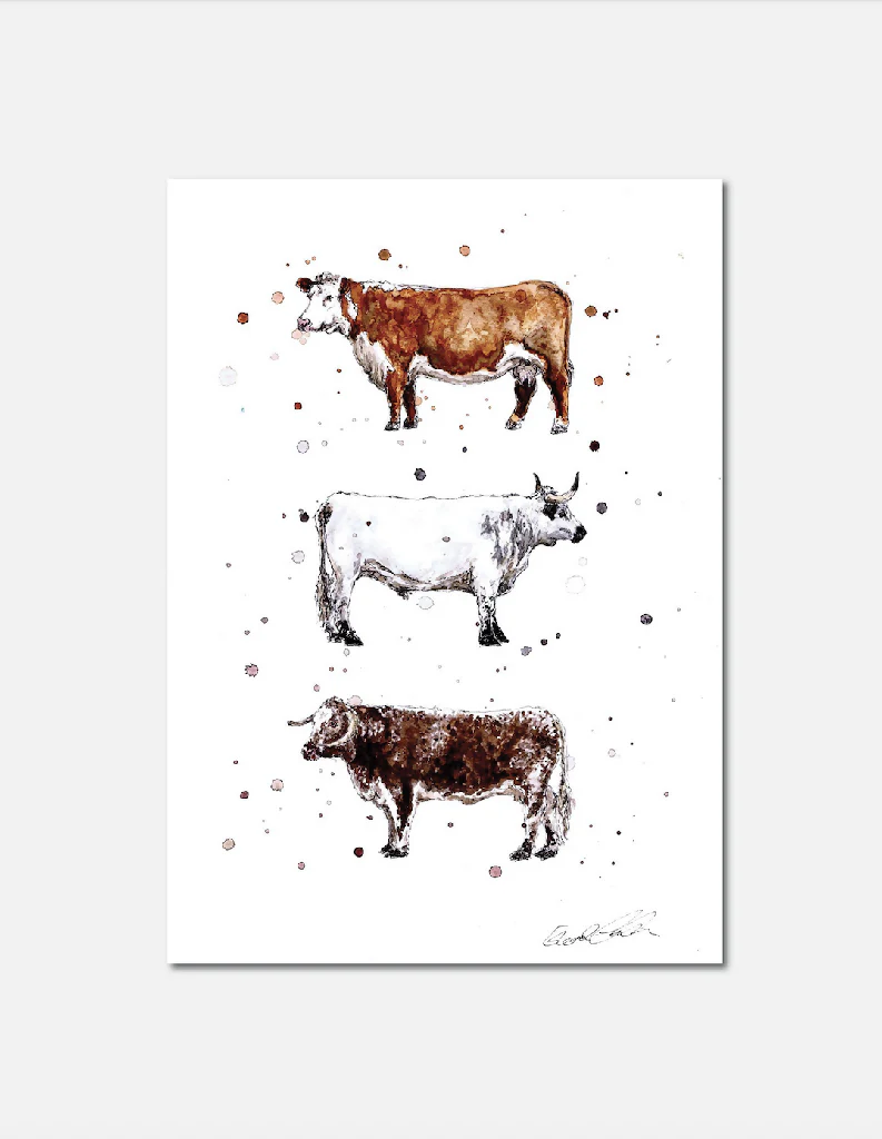 Native Cattle| Signed Limited Edition Print - Image 2