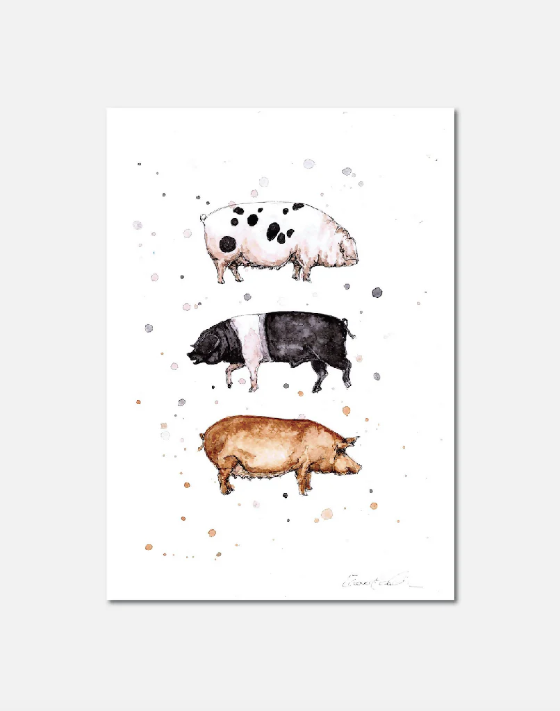 Native Pigs | Signed Limited Edition Print - Image 2