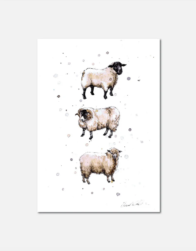 Native Sheep | Signed Limited Edition Print - Image 2