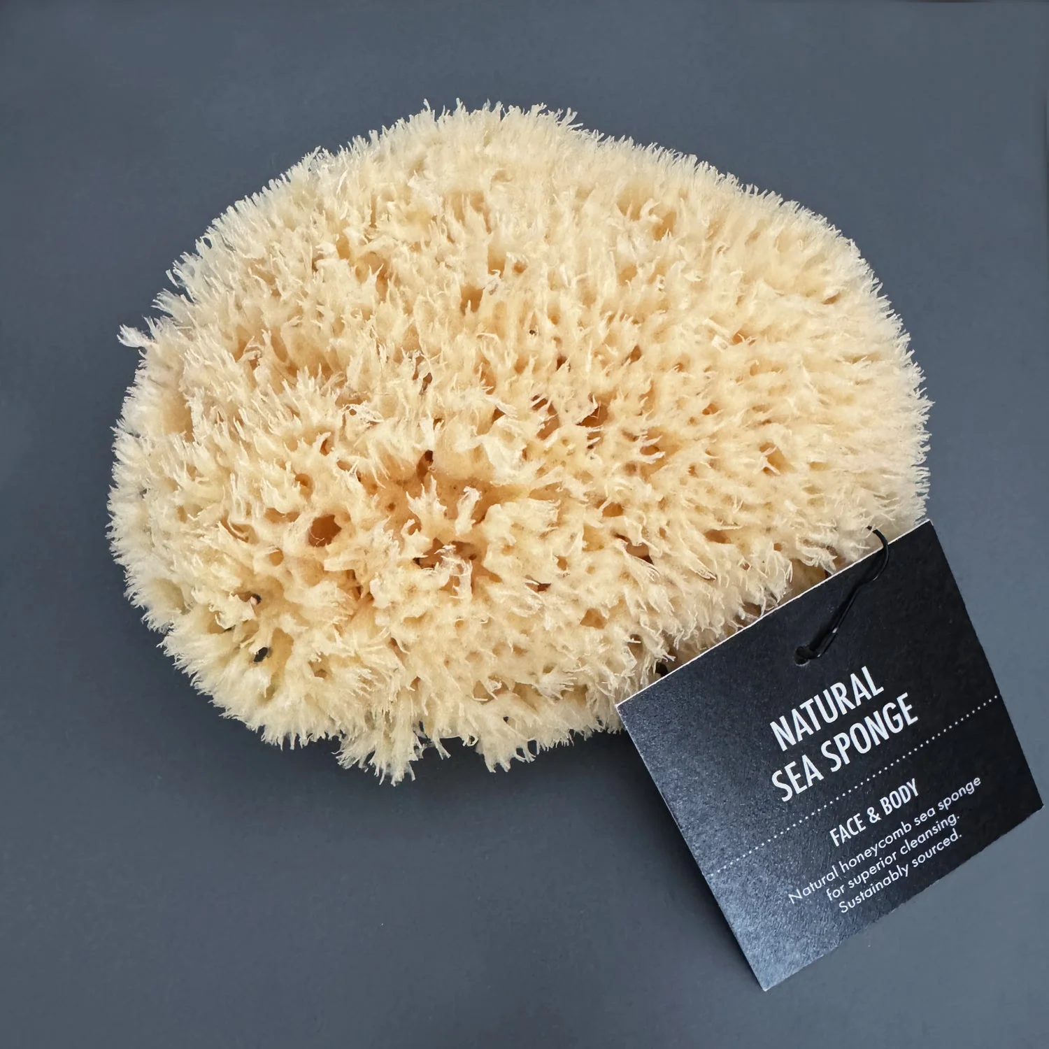 Natural Sea Sponge (Cleansing) - Image 2