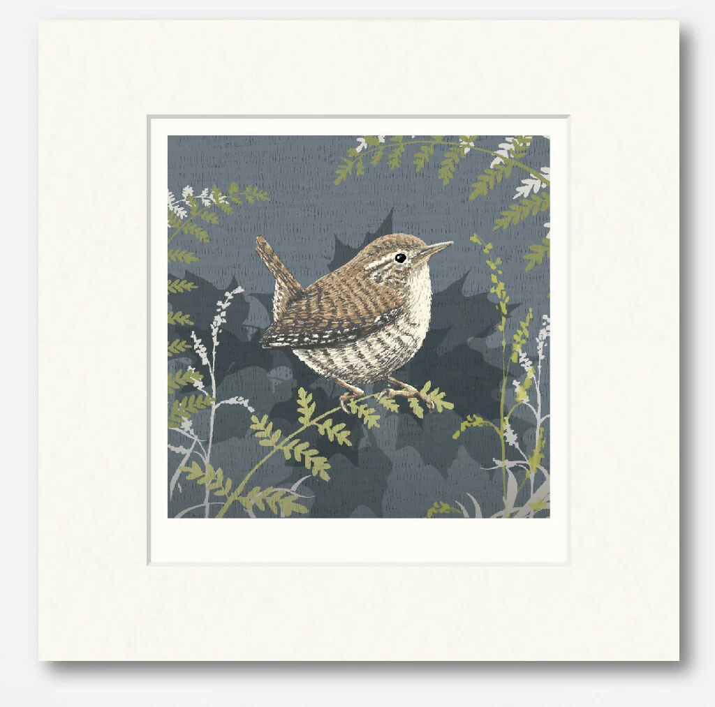 Navy Wren -Signed and mounted Giclée Art Print - Image 4