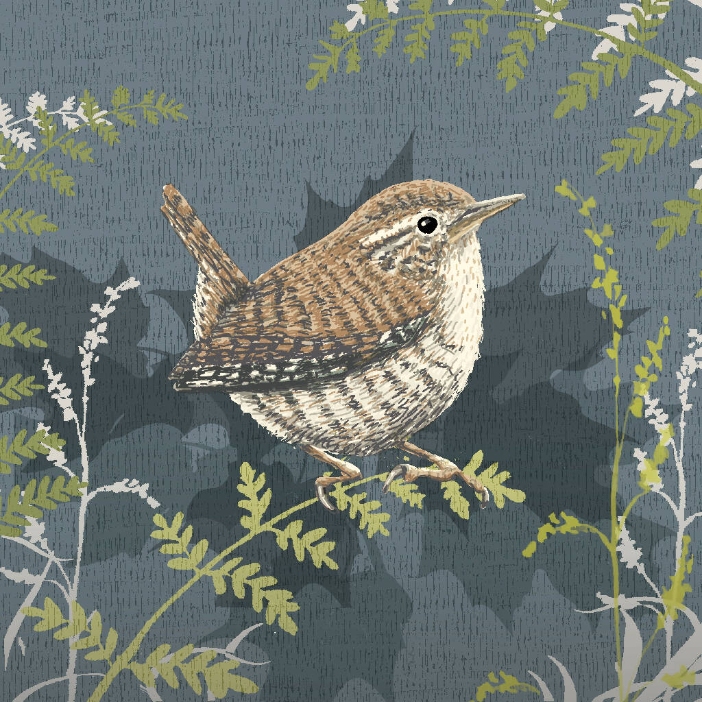 Navy Wren -Signed and mounted Giclée Art Print - Image 6