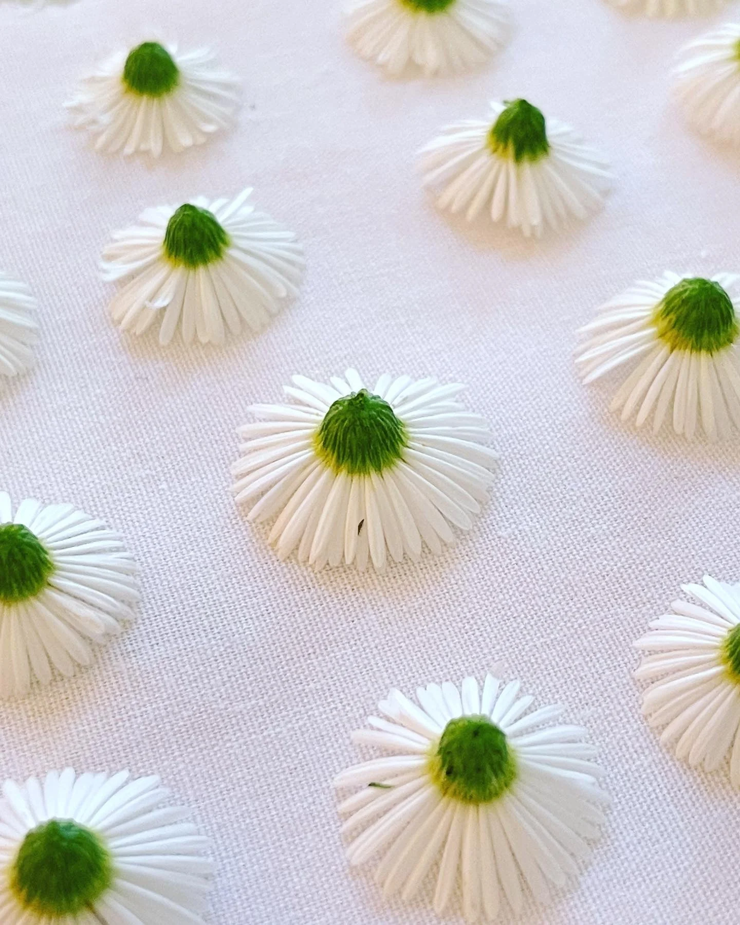 Necklace with poppy and daisy flowers - Image 7