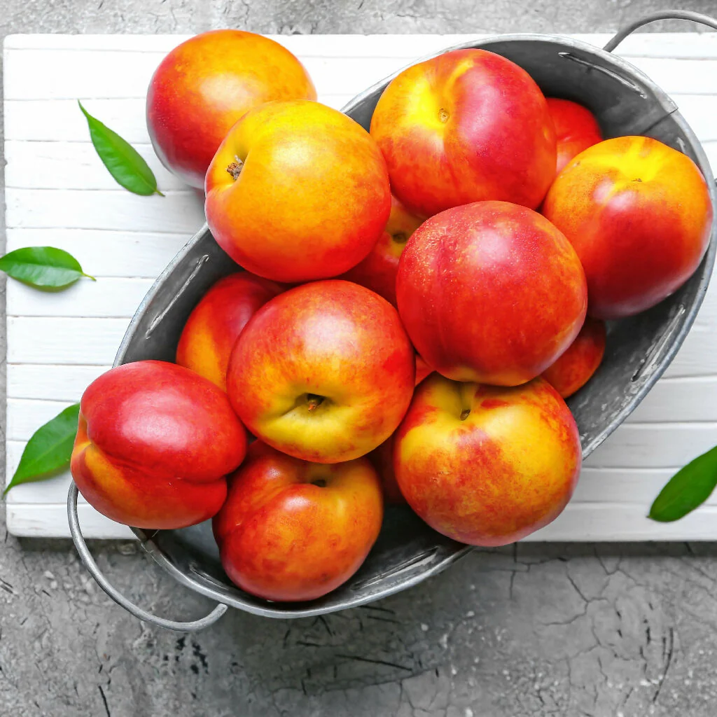 Nectarine Trees, 'Humboldt', Full Plants in 10 Litre Pots - Image 2