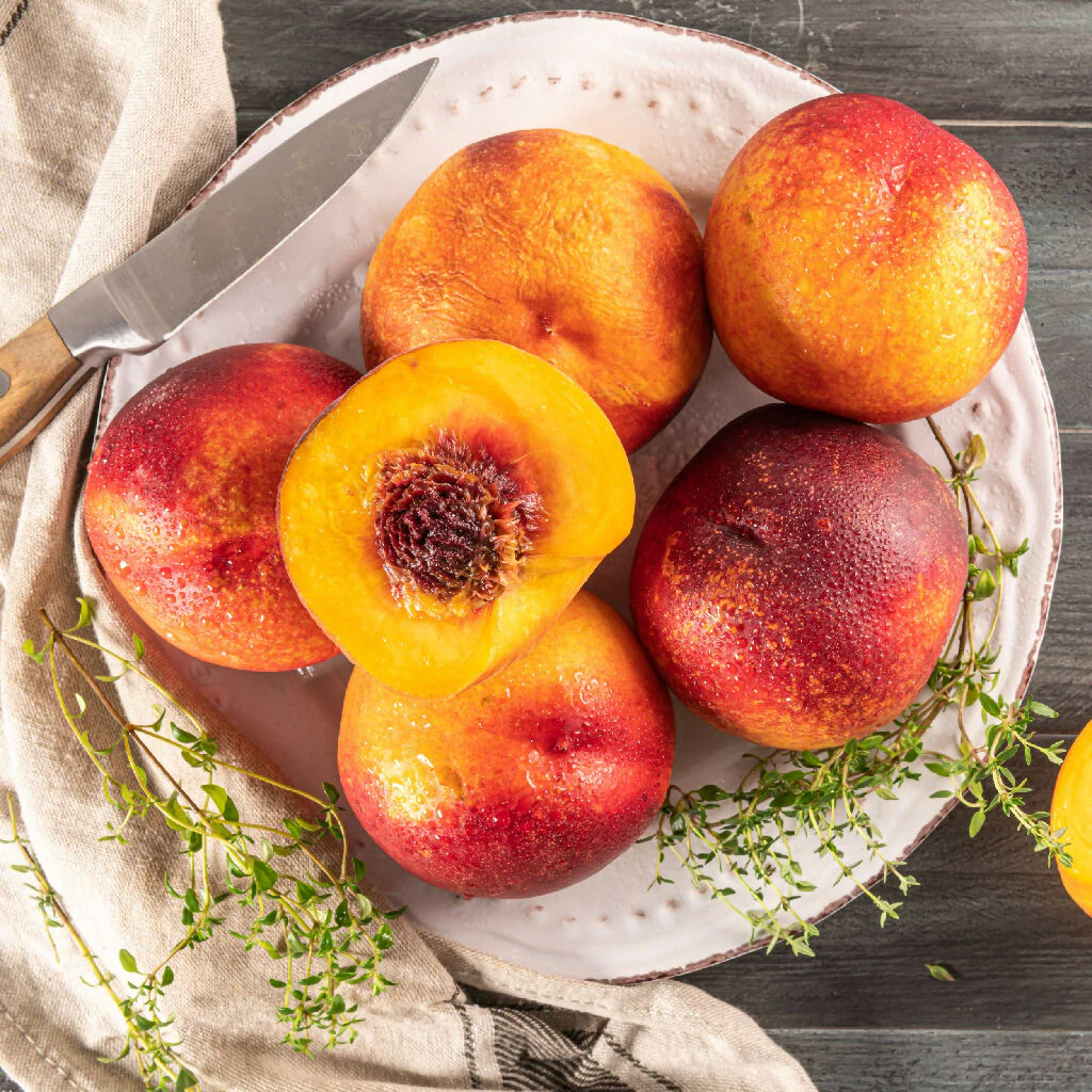 Nectarine Trees, 'Humboldt', Full Plants in 10 Litre Pots - Image 4