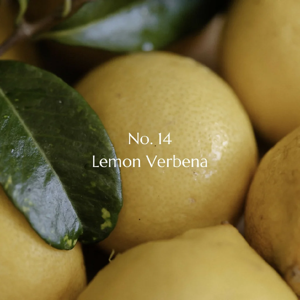 No. 14 Lemon Verbena Luxury Candle - Image 2