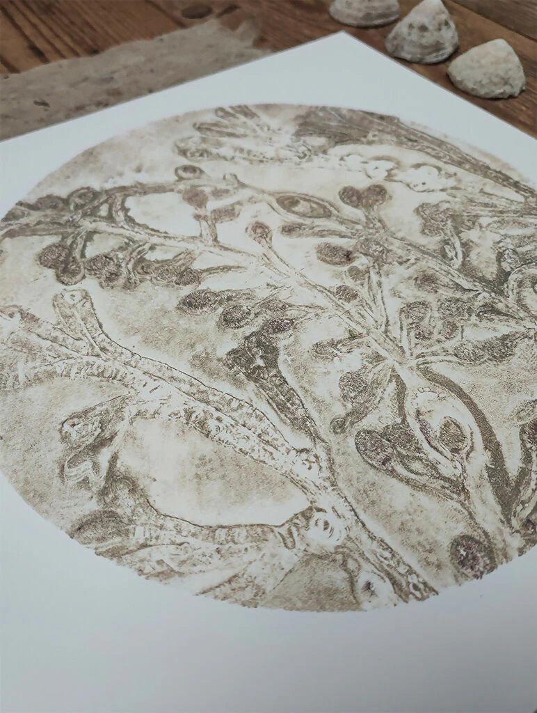 Nude Circular Seaweed Knotted Wrack and Channelled Wrack Gelli Print - Image 3